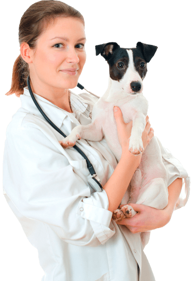 Ветеринар с собакой