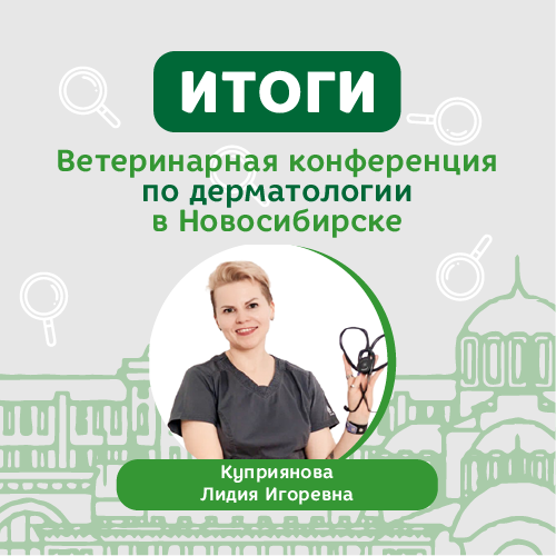 Итоги ветеринарной конференции в Новосибирске 13 февраля