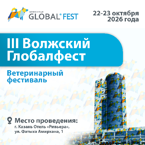Приглашаем на III Волжский Глобалфест 2026