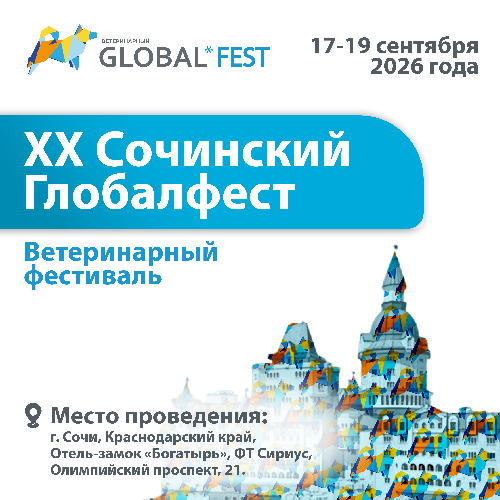 Приглашаем на XX Сочинский Глобалфест 2026