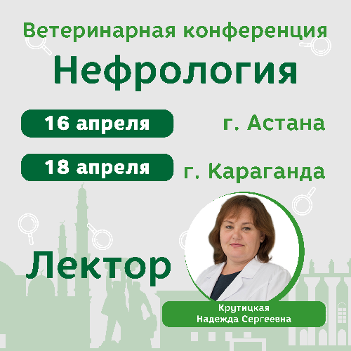 Приглашаем на ветеринарную конференцию по нефрологии в Казахстан