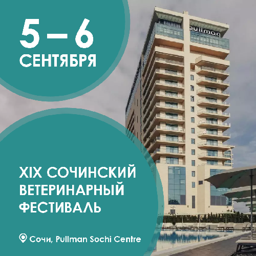 XIX Сочинский ветеринарный фестиваль в новом формате! 