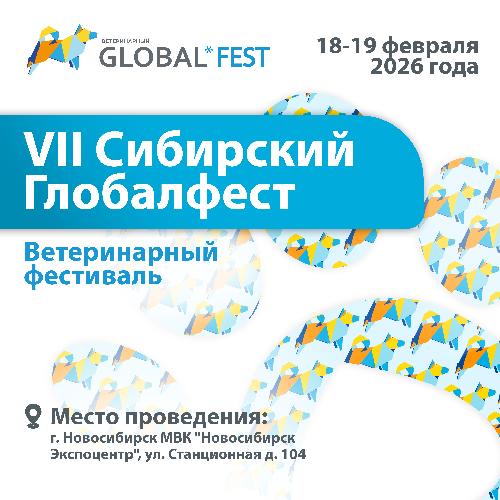 Приглашаем на VII Сибирский Глобалфест 2026
