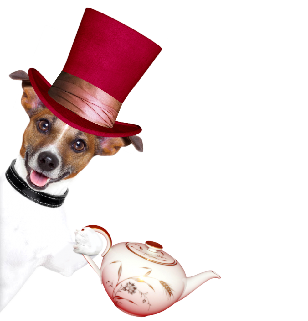 собака с чайником.png